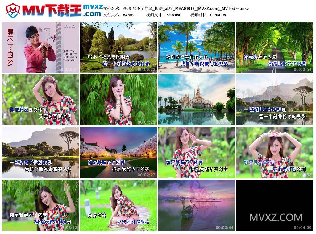 李琛-醒不了的梦_国语_流行_MEA01018